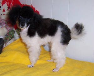 1sthaircutw.jpg