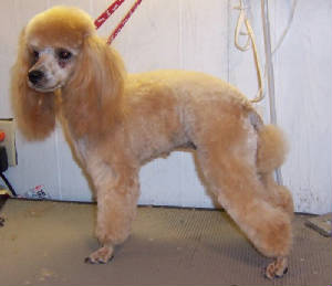 annie3w.jpg