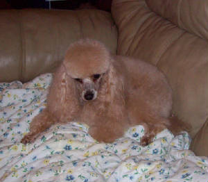 annie_jan16_1337.jpg