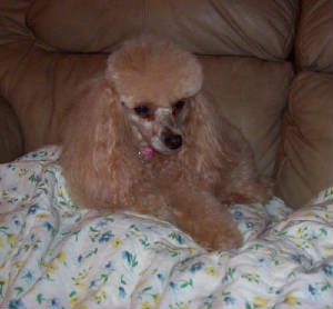 annie_jan16_1350.jpg