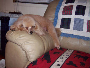 anniedue_oct16_2746.jpg