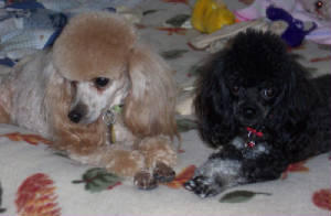 anniehope_nov21_5493.jpg