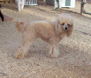 anniespring09_7921.jpg