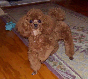 boo9mo_4lb_5619.jpg