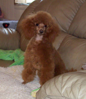 dinky7mo_6686.jpg