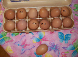 firsteggs_6709.jpg