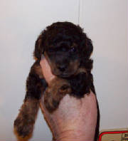 lilgerl4wk_22_7oz_7859.jpg