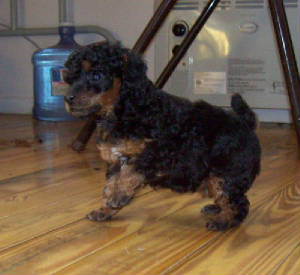 lilgerl_5wkw_8067.jpg