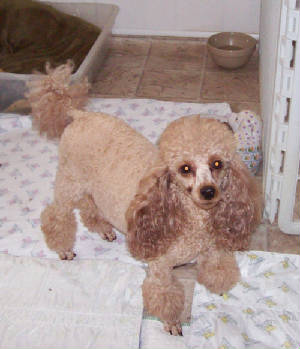 lucy_2546.jpg