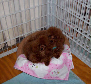 lucydanny_feb2_4124.jpg
