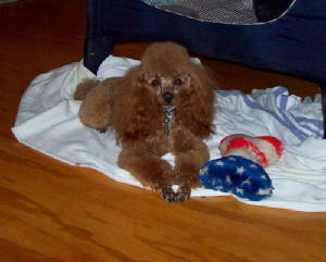 mac_jun07_1171.jpg