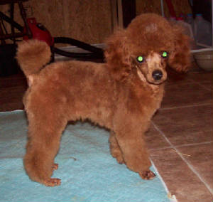 mackie15wk_7960.jpg