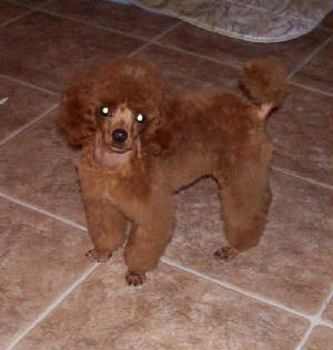 mackie15wk_7963.jpg