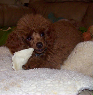 mackie6mo_5lb_8880.jpg