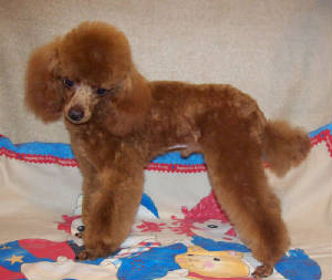 mackie7mo_jul11w_9107.jpg