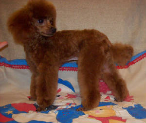 mackie7mo_w_9108.jpg