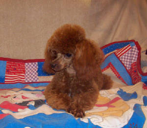 mackie8mo_5lb_9oz_9916.jpg