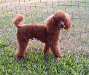 mackie8mo_w_9898.jpg