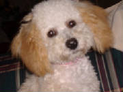 maggie_6monthsw.jpg