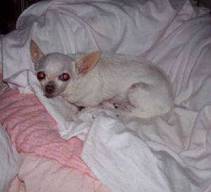 melody_oct23_2817.jpg