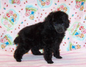 mia6wks_5355.jpg