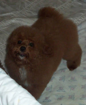 normajean_14wk_1279.jpg
