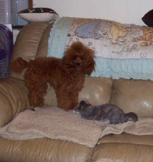 pollydolly_oct16_5419.jpg