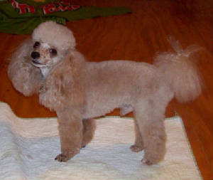 raggs_5yr_9030.jpg