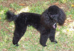 rarayjuly17web.jpg