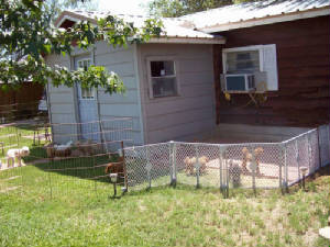 redpatio2_9427.jpg