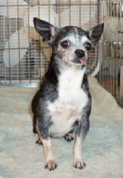 sadiebath_0987.jpg