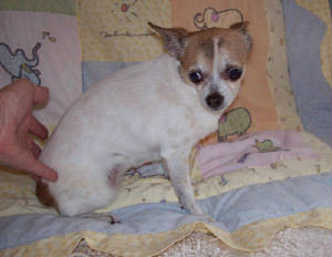 sandy_4562.jpg