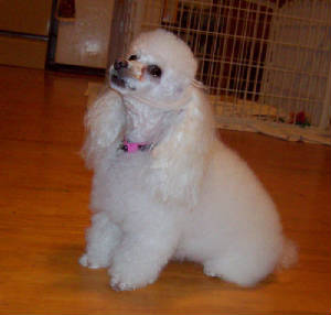 satin5yr_nov21_0706.jpg