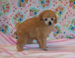 suli6wks_5361.jpg