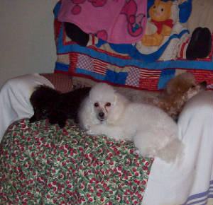 summer07_2085.jpg