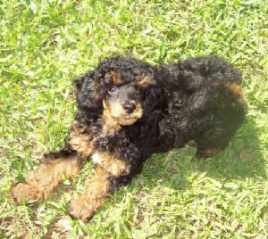 wreny11wk_outsidew_8674.jpg