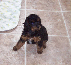 wreny8wk_42oz_8507.jpg