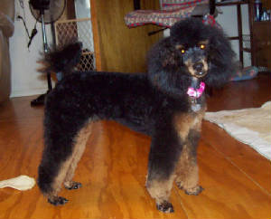 wreny_7.5mo_0418.jpg
