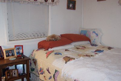 anniebedw.jpg