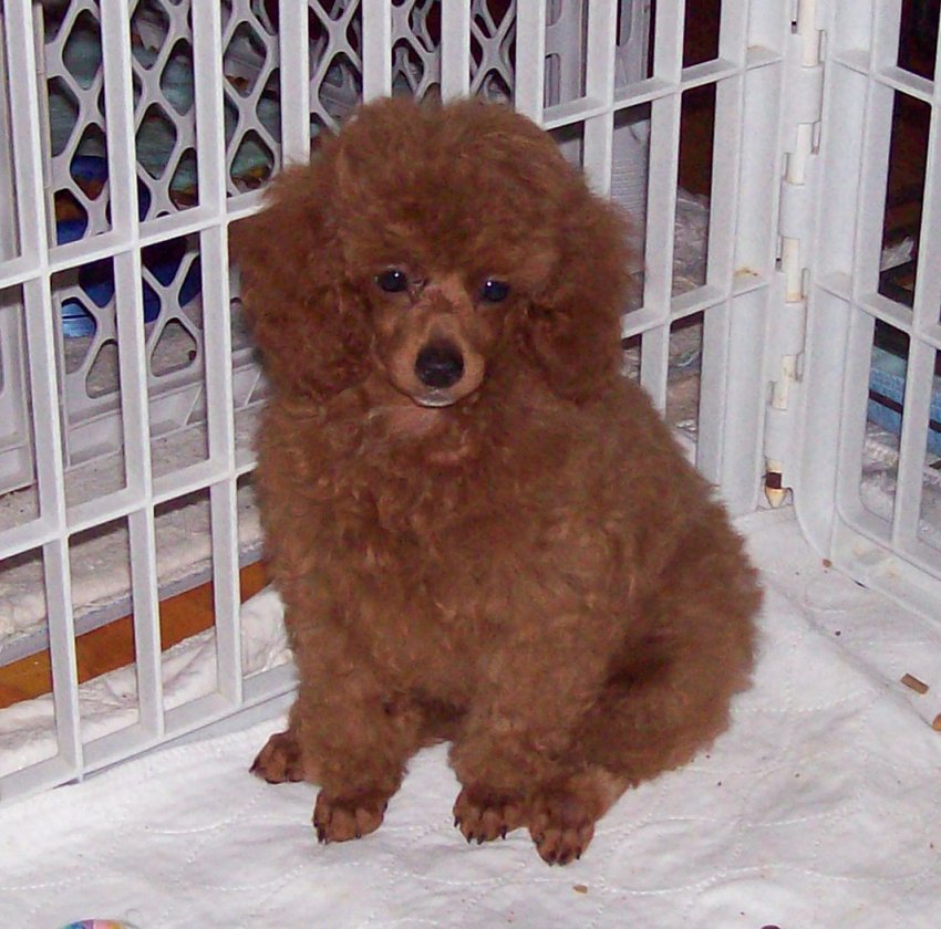 bea_13wk_6786.jpg