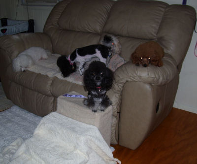 girlsonsofa_1004.jpg