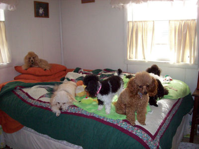 jan2008_3884.jpg