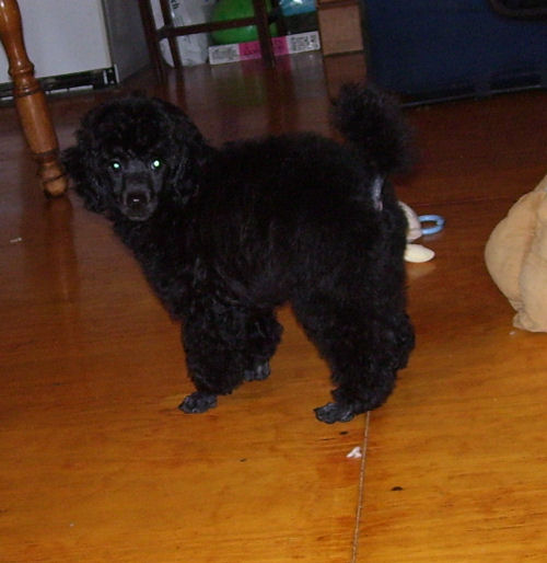jupi11wk_1790.jpg