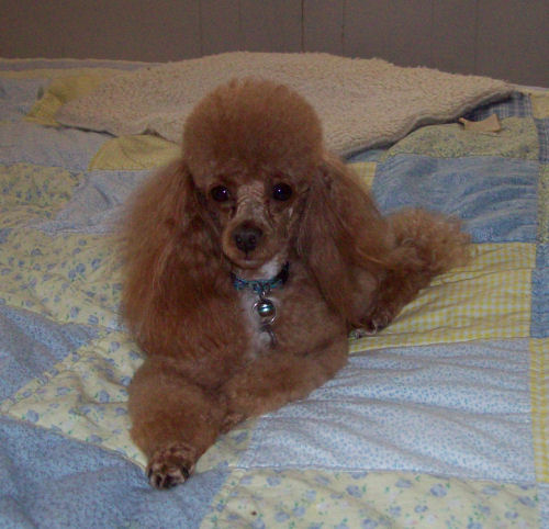 mac3yrs_5687.jpg