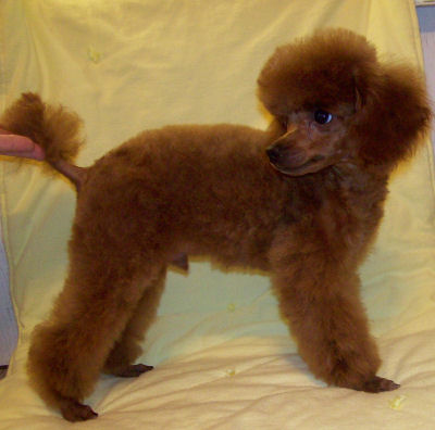mackie_18wk_w8421.jpg