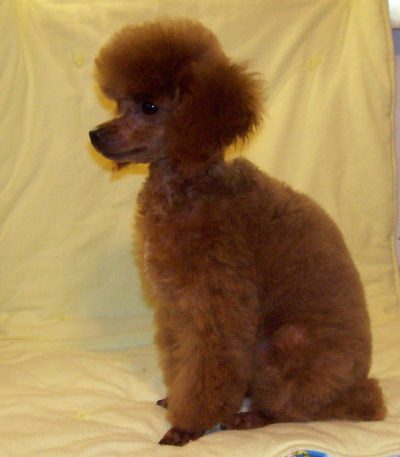 mackie_18wk_w8434.jpg