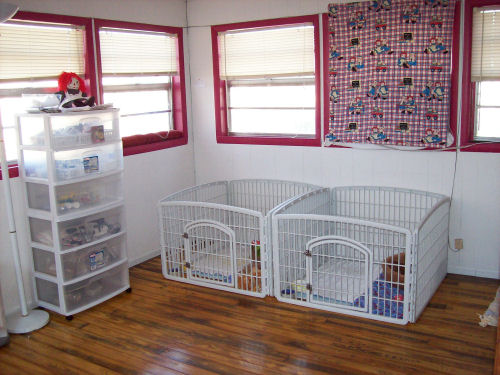 nursery09_7076.jpg