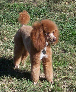 pierre14mo_5404.jpg