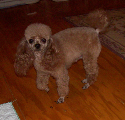rosie_may2_2009_w8453.jpg