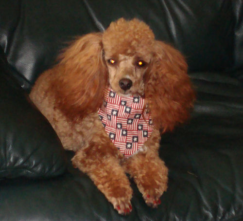 zoie_june08_1680.jpg